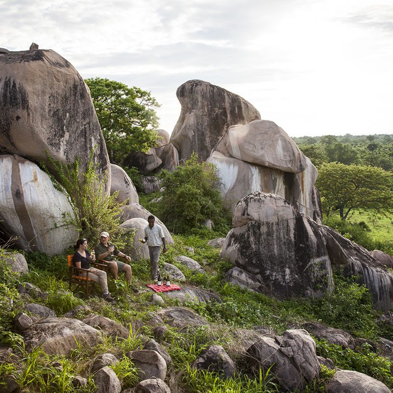 Safaris-Okavango-tanzanie-parc-ruaha-galerie-2
