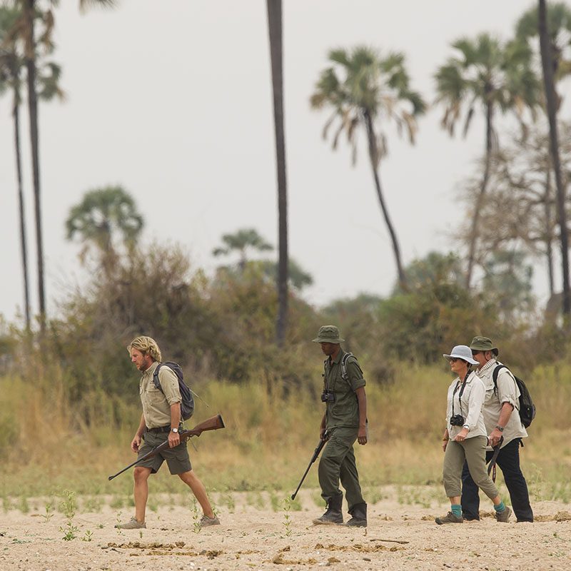 Safaris-Okavango-tanzanie-parc-ruaha-galerie-5