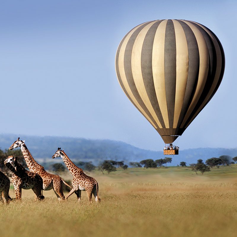 Safaris-Okavango-tanzanie-parc-serengeti-grid-1
