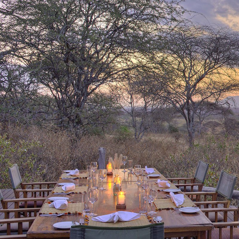 Safaris-Okavango-tanzanie-parc-tarangire-galerie-1