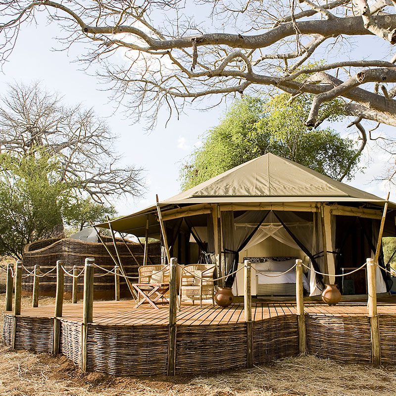 Safaris-Okavango-tanzanie-parc-tarangire-galerie-3