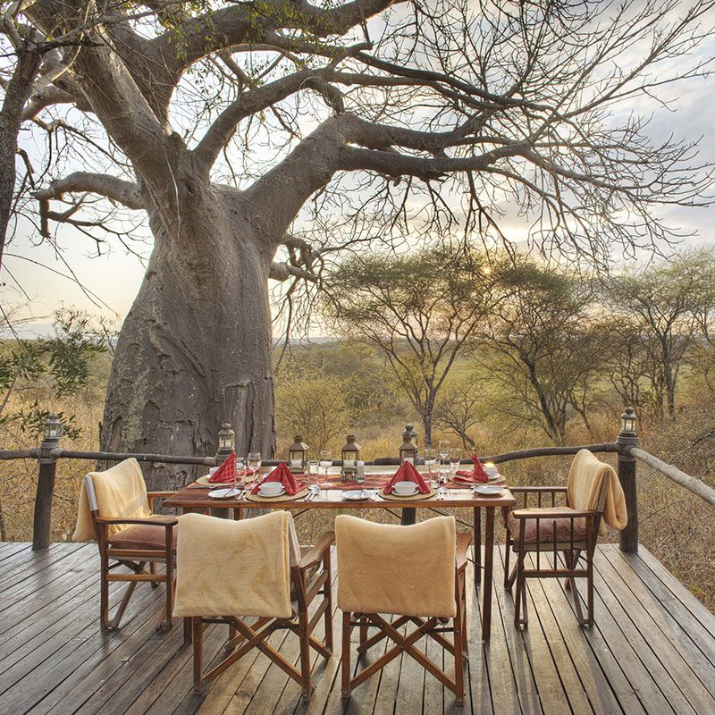 Safaris-Okavango-tanzanie-parc-tarangire-galerie-5