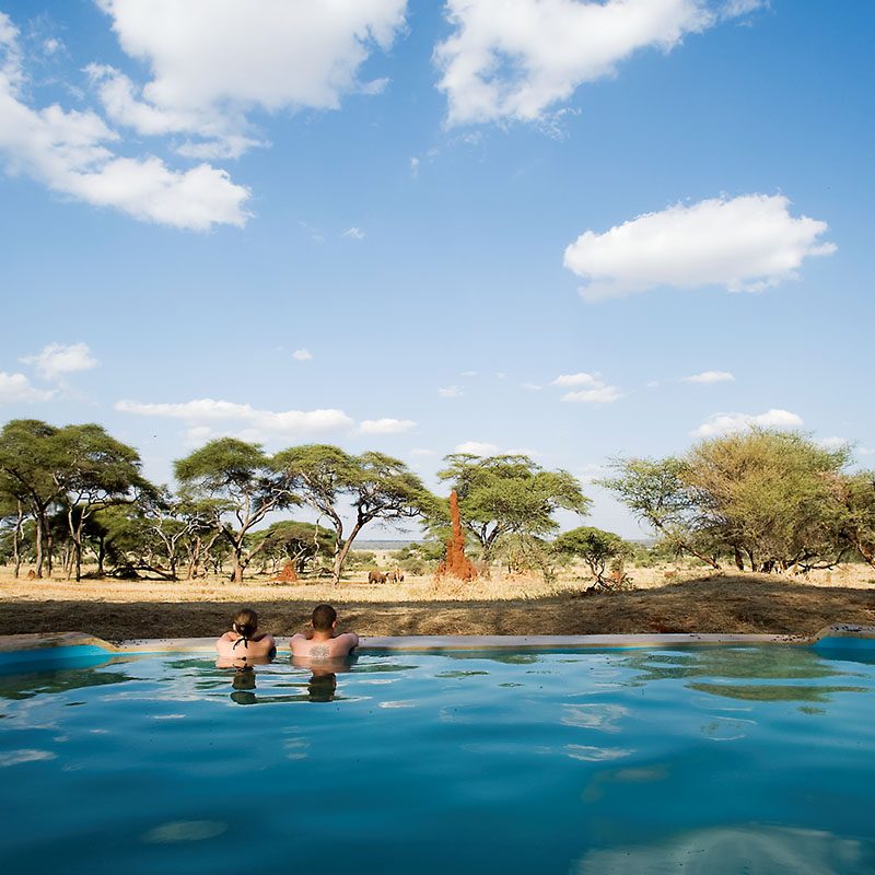 Safaris-Okavango-tanzanie-parc-tarangire-galerie-6