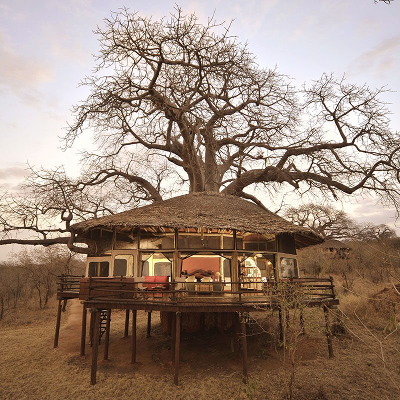 Safaris-Okavango-tanzanie-parc-tarangire-grid-2