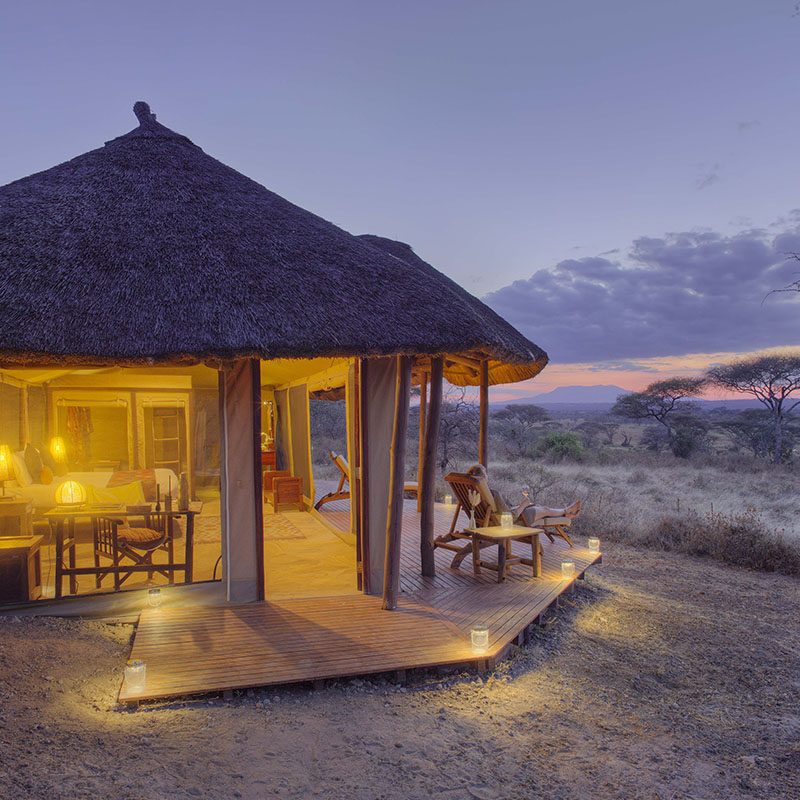 Safaris-Okavango-tanzanie-parc-tarangire-grid-3