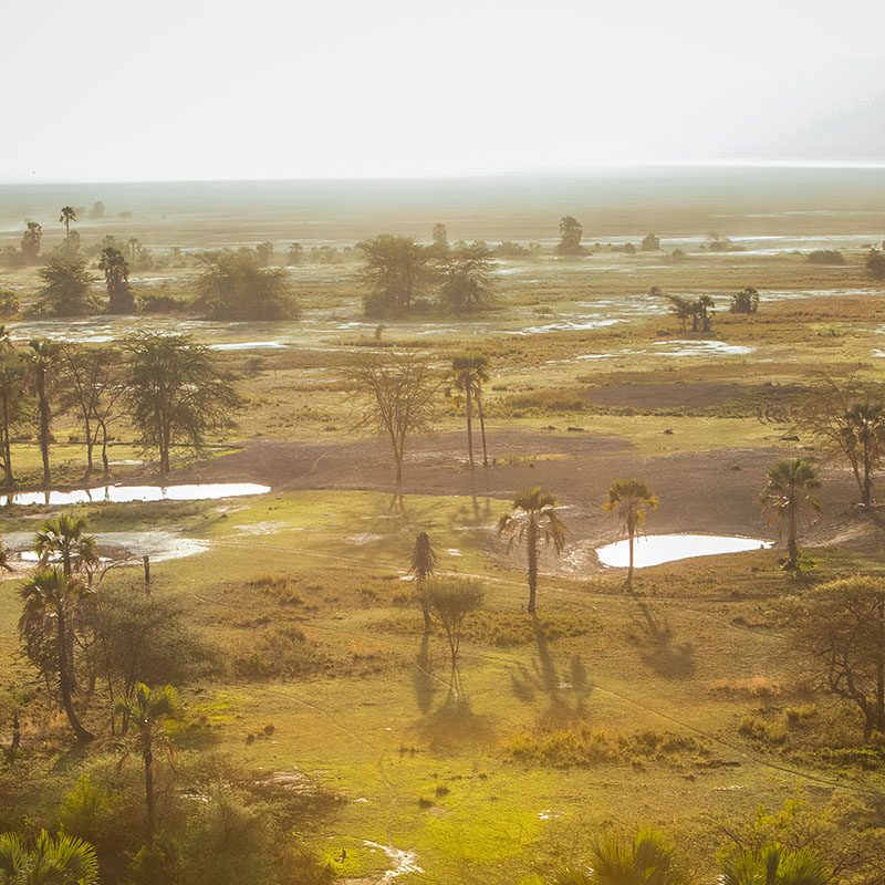 Safaris-Okavango-tanzanie-reserve-de-chemchem-galerie-3