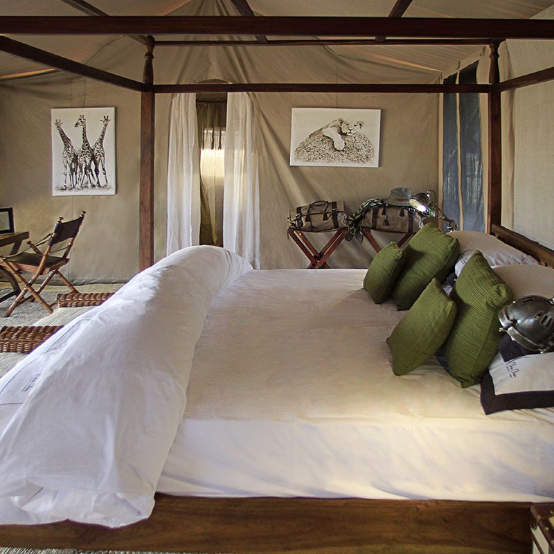 Safaris-Okavango-tanzanie-reserve-de-chemchem-galerie-4