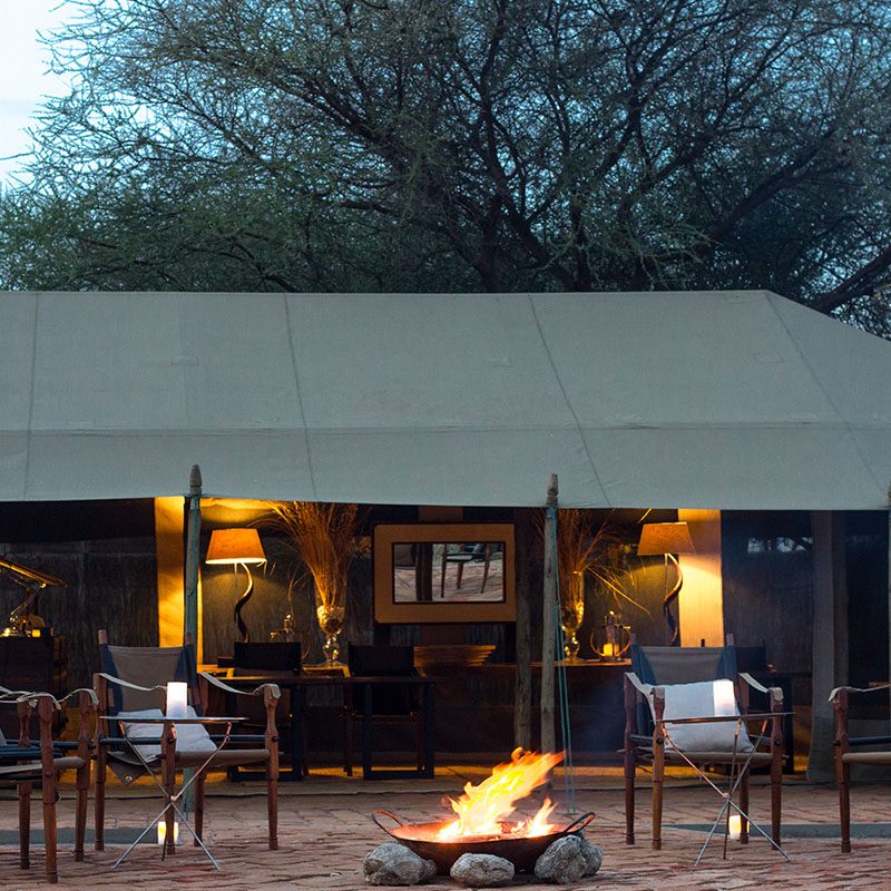Safaris-Okavango-tanzanie-reserve-de-chemchem-galerie-6