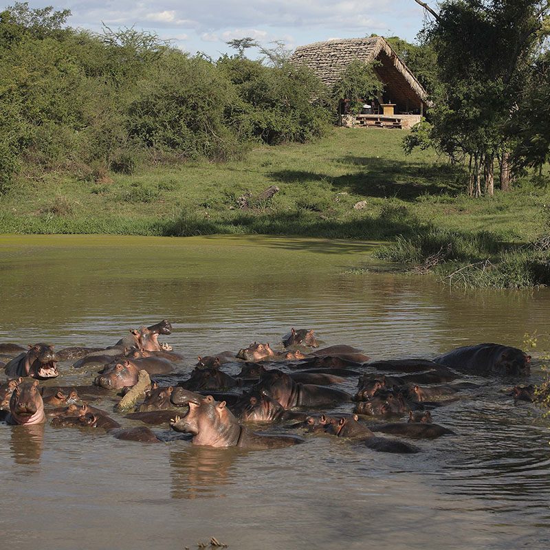 Safaris-Okavango-tanzanie-reserve-de-grumeti-galerie-1