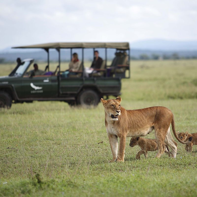 Safaris-Okavango-tanzanie-reserve-de-grumeti-galerie-2