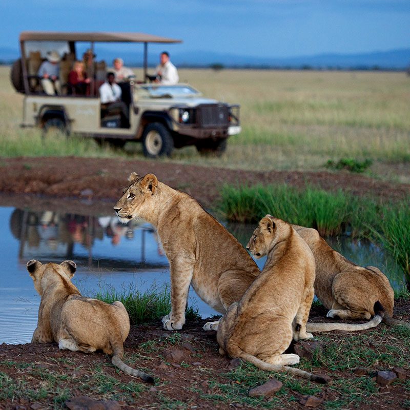 Safaris-Okavango-tanzanie-reserve-de-grumeti-galerie-4