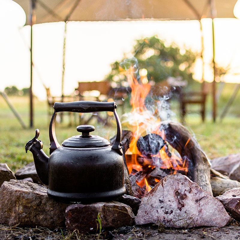 Safaris-Okavango-tanzanie-reserve-de-grumeti-galerie-5