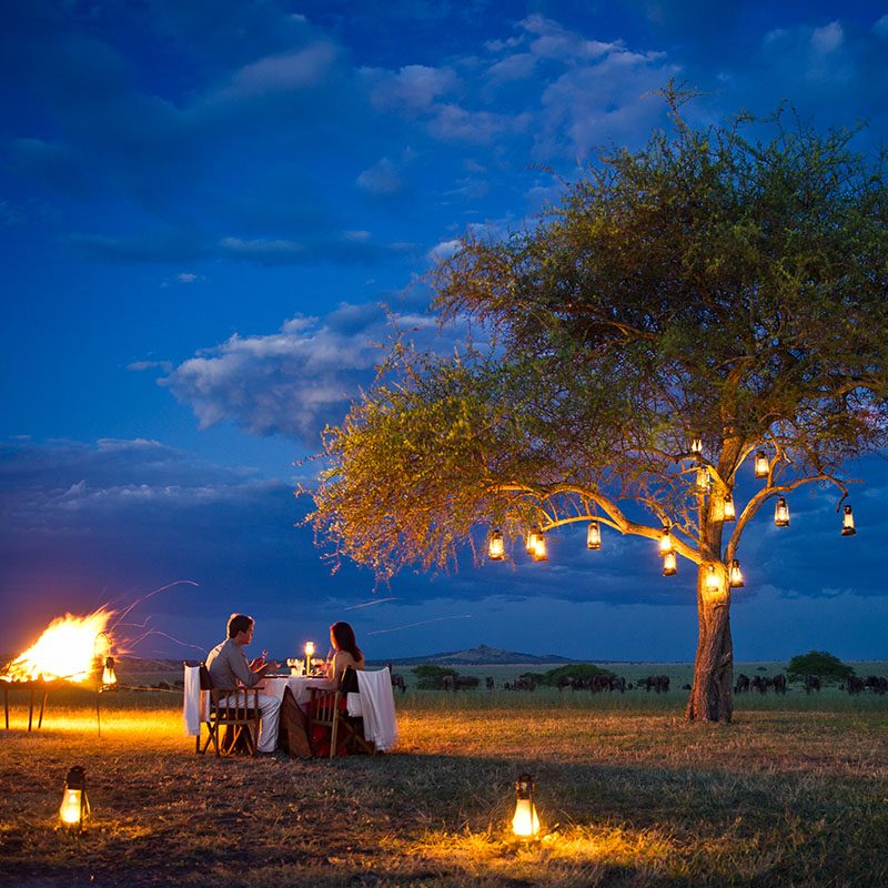Safaris-Okavango-tanzanie-reserve-de-grumeti-galerie-6