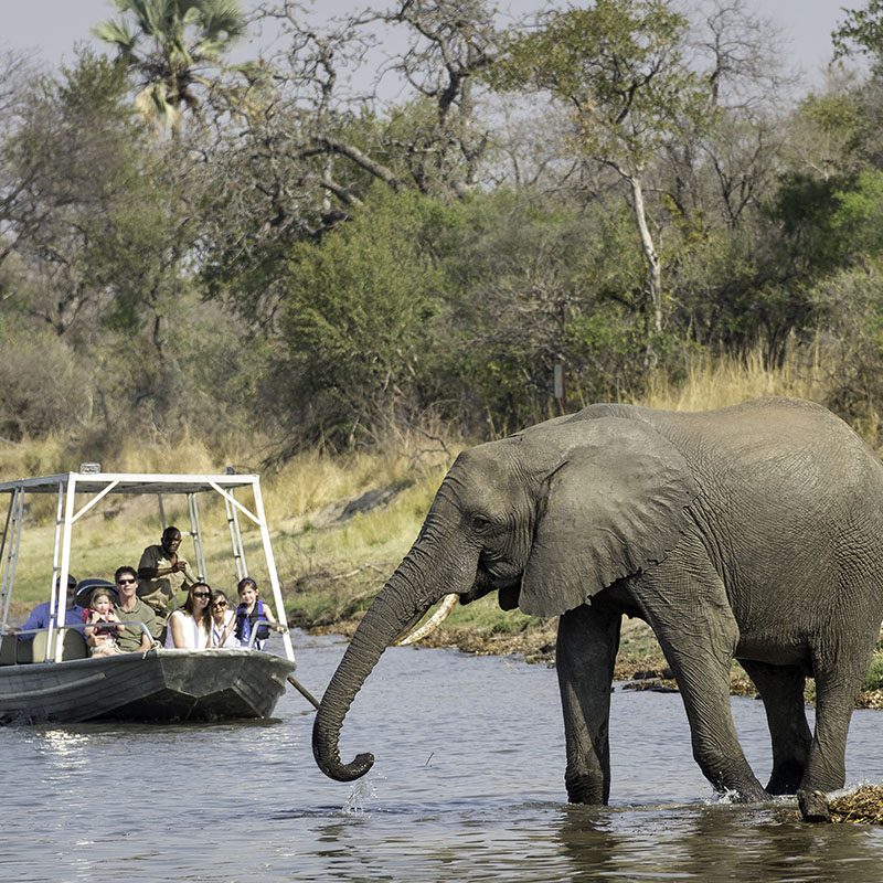 Safaris-Okavango-zambie-chutes-victoria-galerie-4
