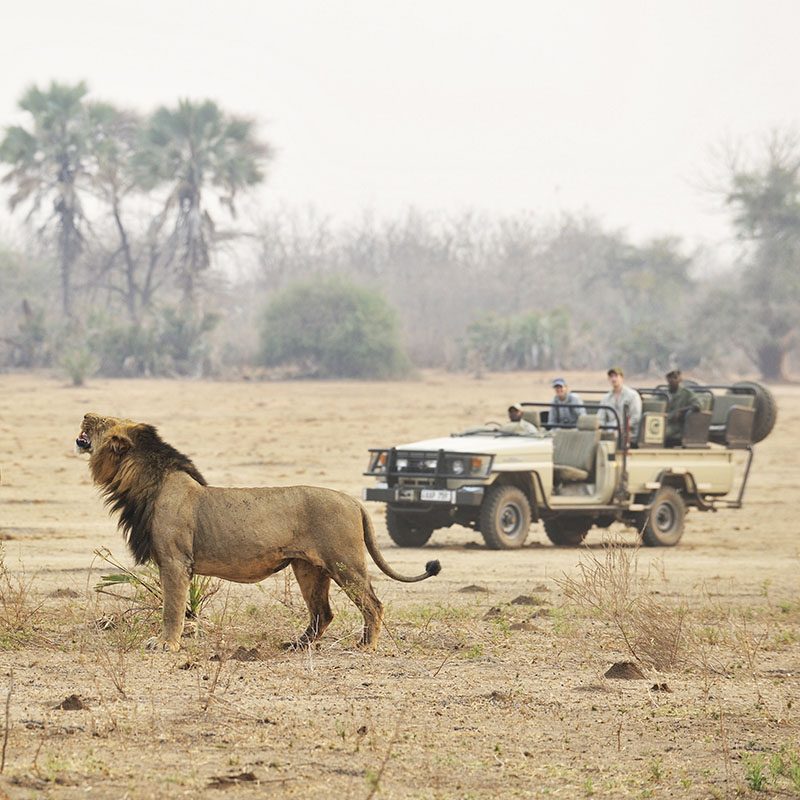 Safaris-Okavango-zambie-parc-lower-zambezi-galerie-1