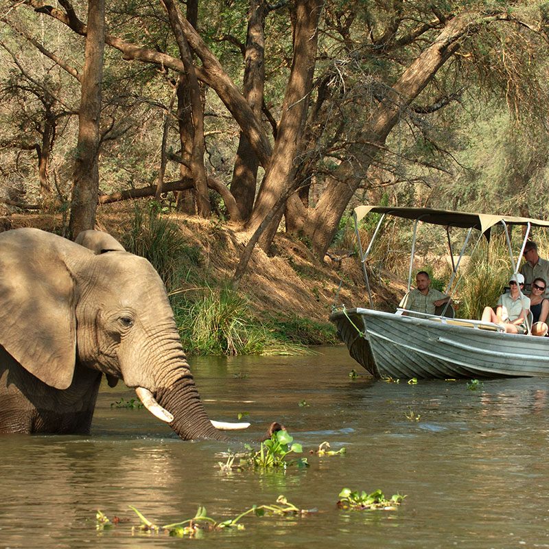 Safaris-Okavango-zambie-parc-lower-zambezi-galerie-4