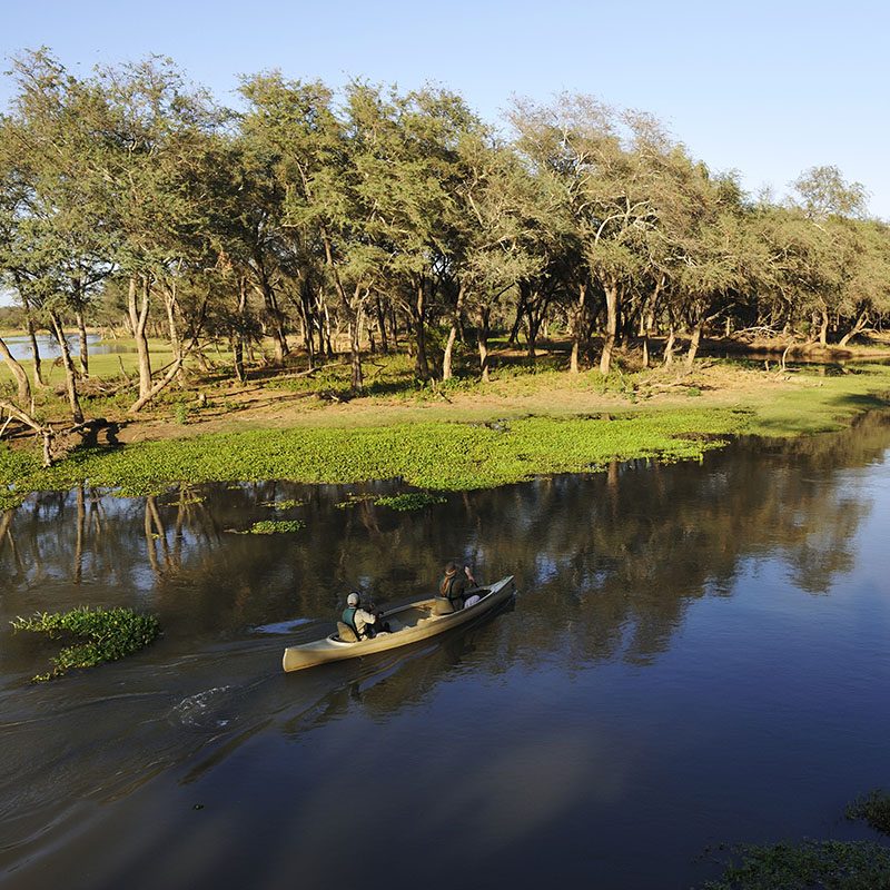 Safaris-Okavango-zambie-parc-lower-zambezi-galerie-6