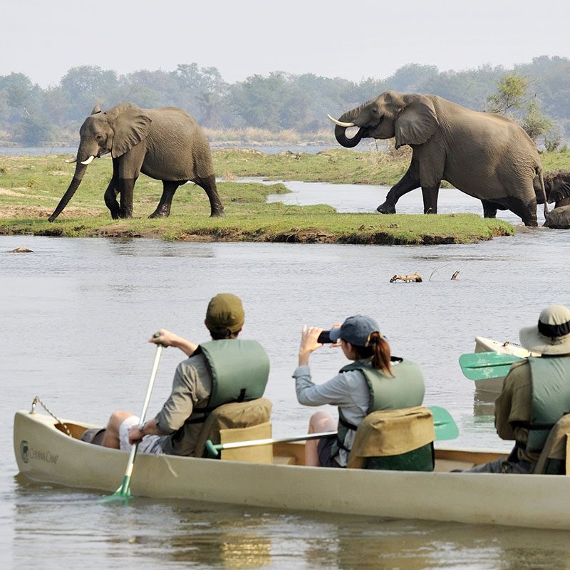 Safaris-Okavango-zambie-parc-lower-zambezi-grid-1