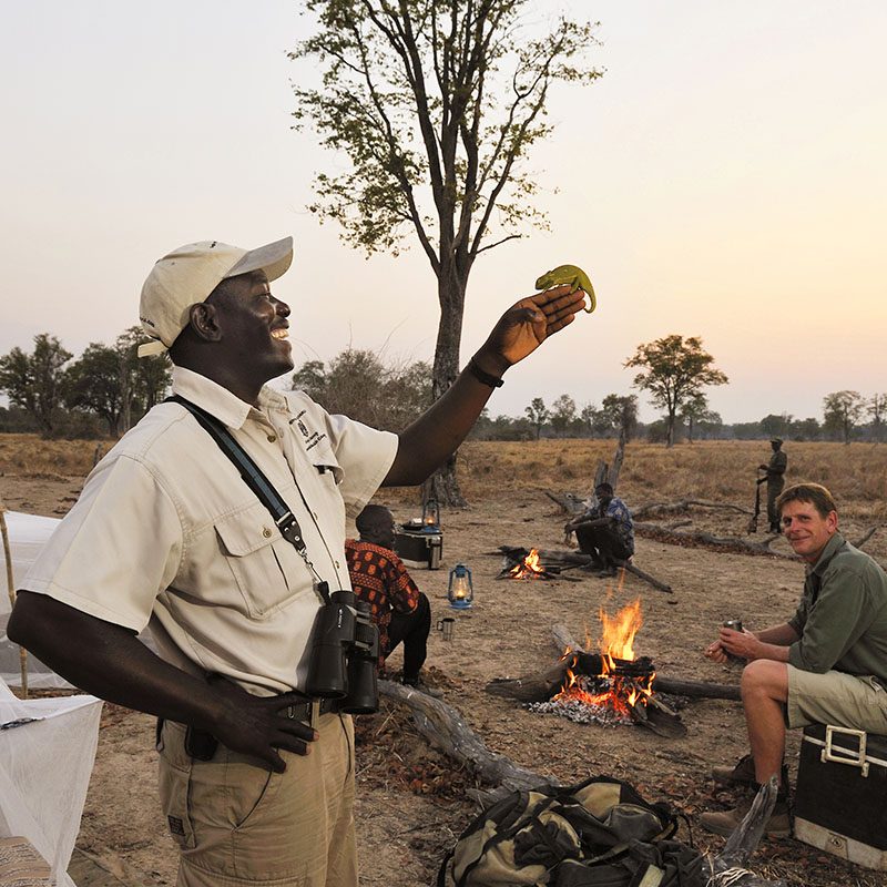 Safaris-Okavango-zambie-parc-south-luangwa-grid-1