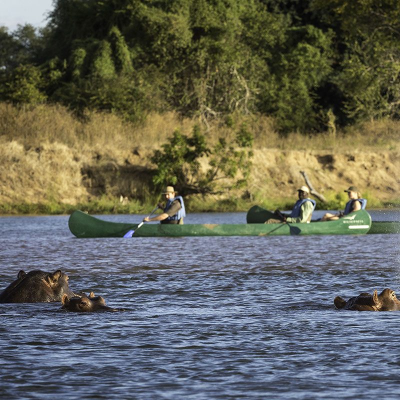 Safaris-Okavango-zimbabwe-mana-pools-galery-1