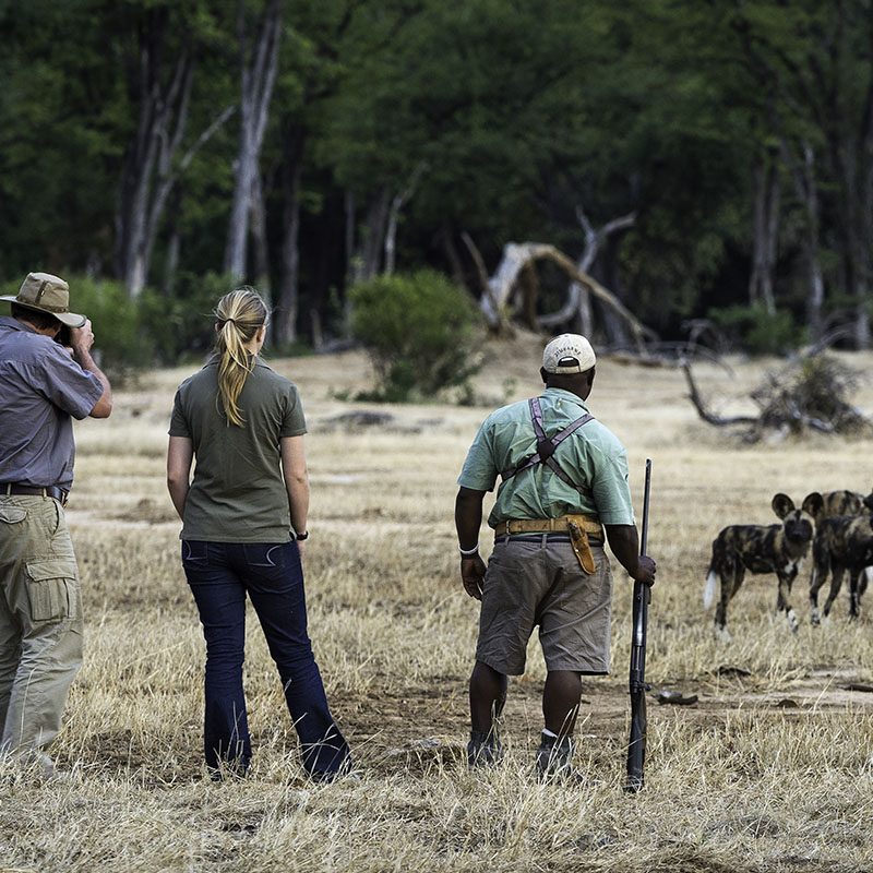 Safaris-Okavango-zimbabwe-mana-pools-galery-2 (1)