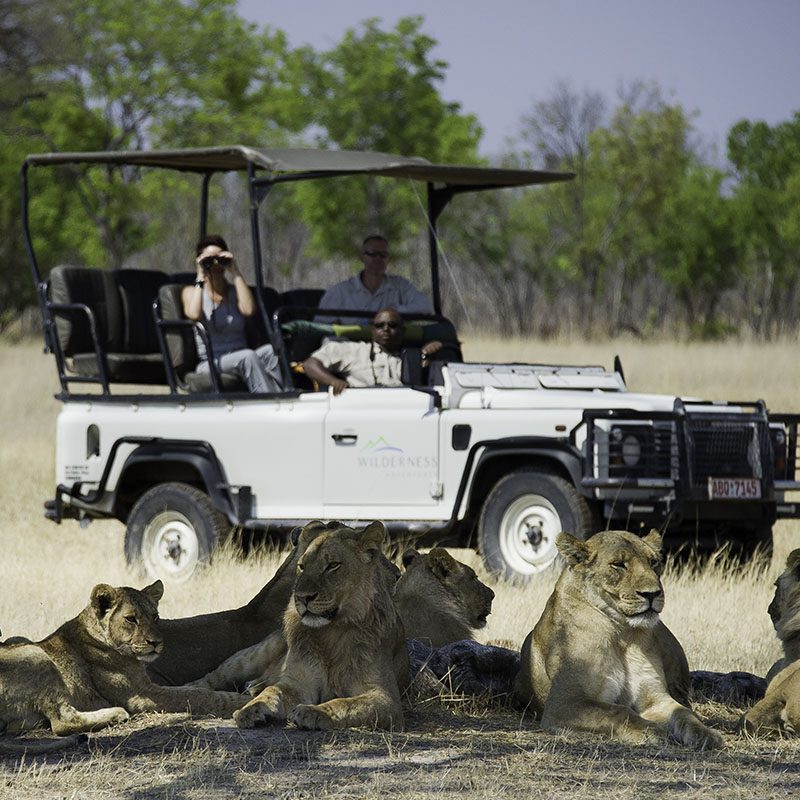 Zimbabwe-Hwange