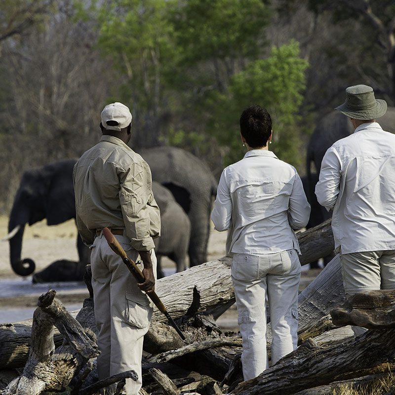 Zimbabwe-Hwange