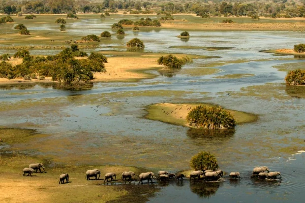 Un été austral sensationnel au Botswana
