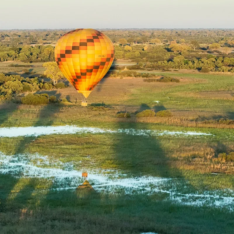 delta-okavango