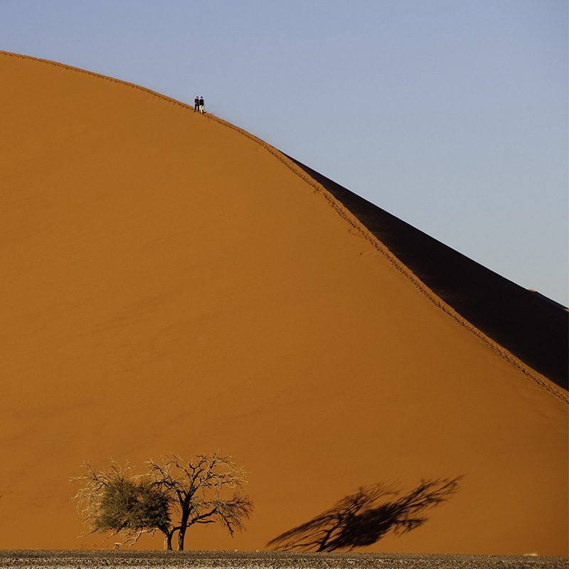 desert-namib