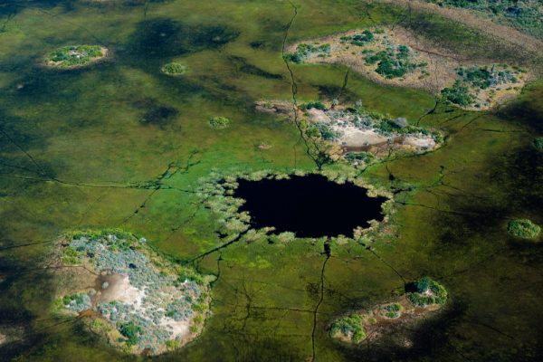 Survol du Delta de l’Okavango © Dana Allen