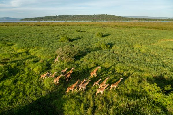 Voyage de noces chutes Victoria