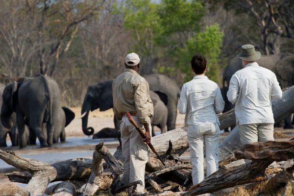 Little Makalolo Camp © Wilderness - Dana Allen