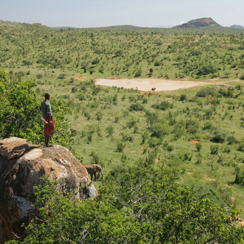 Safaris-Okavango-Kenya-Parc-Laikipia