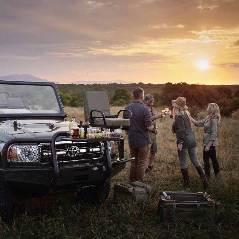 Réserve privée de Thornybush
