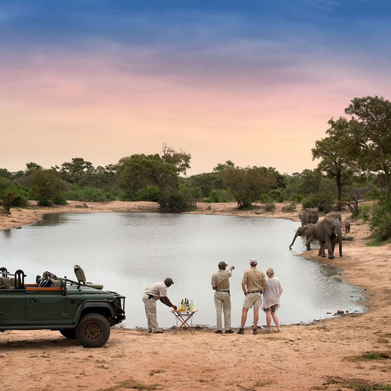 Réserve privée de Timbavati